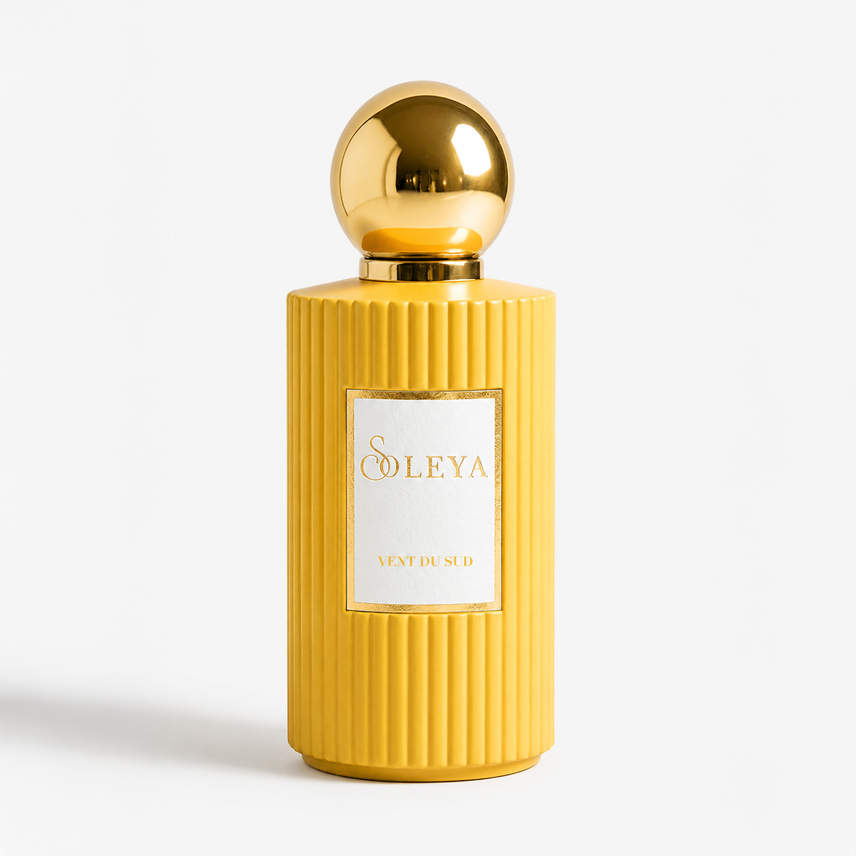 Vent du Sud – Carried by the Mediterranean Breeze