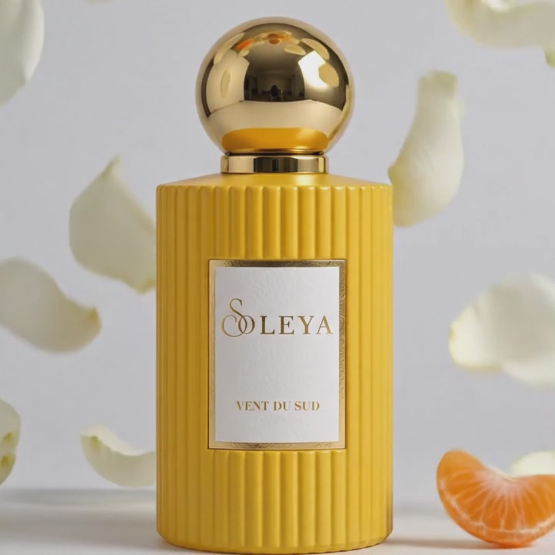 Vent du Sud – Carried by the Mediterranean Breeze